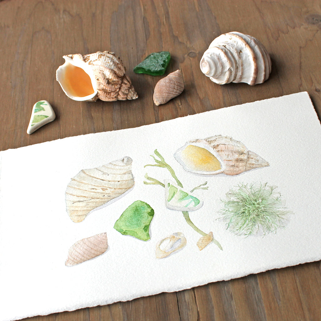 Trouvailles de la plage à Maine - Aquarelle originale