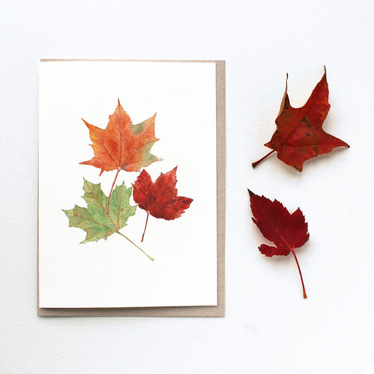 Note card featuring a watercolor painting of three maple leaves: one green, one orange and one red. Artist Kathleen Maunder