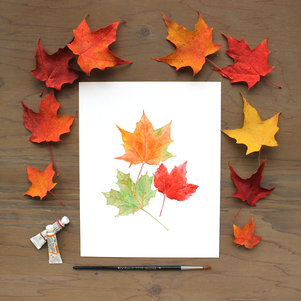 Fall maple leaves art print. Featuring a watercolor painting of orange, red and green maples leaves. Artist Kathleen Maunder.