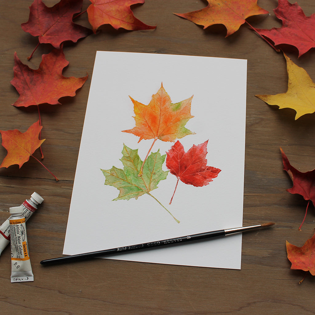 Maple leaves art print. Featuring a watercolour painting of orange, red and green maples leaves. Artist Kathleen Maunder.