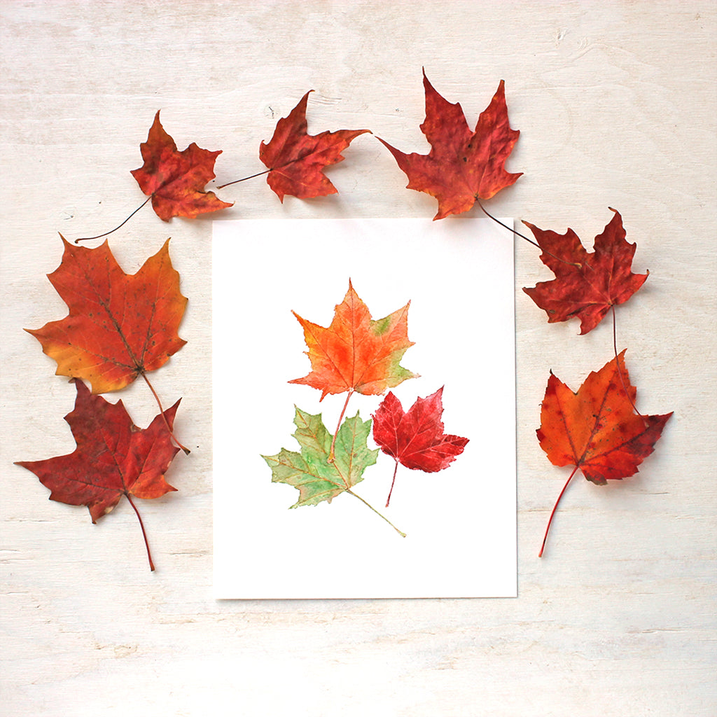 Autumn maple leaves art print. Featuring a watercolor painting of orange, red and green maples leaves. Artist Kathleen Maunder.