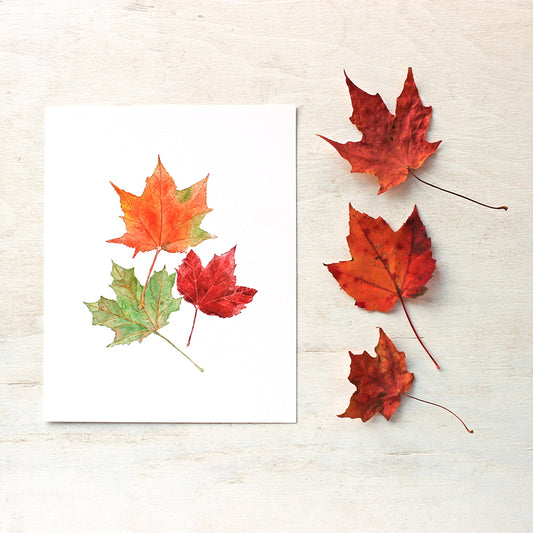An art print featuring an autumn watercolor painting of an orange, red and green maple leaf. Artist Kathleen Maunder.