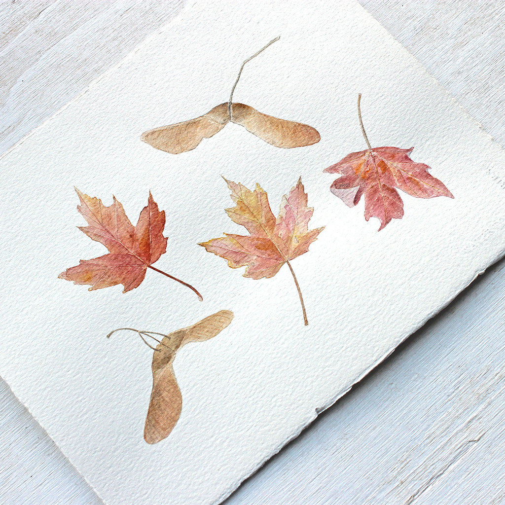 Autumn watercolor of maple leaves and keys by Kathleen Maunder