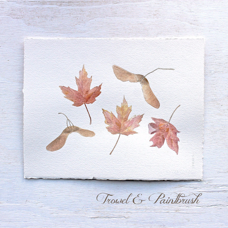 An original watercolor of autumn maple leaves and keys by Kathleen Maunder