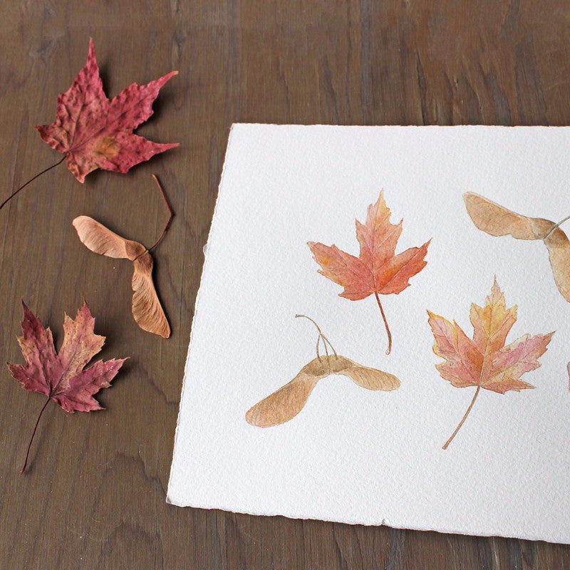Detail of autumn watercolor of maple leaves and keys by Kathleen Maunder