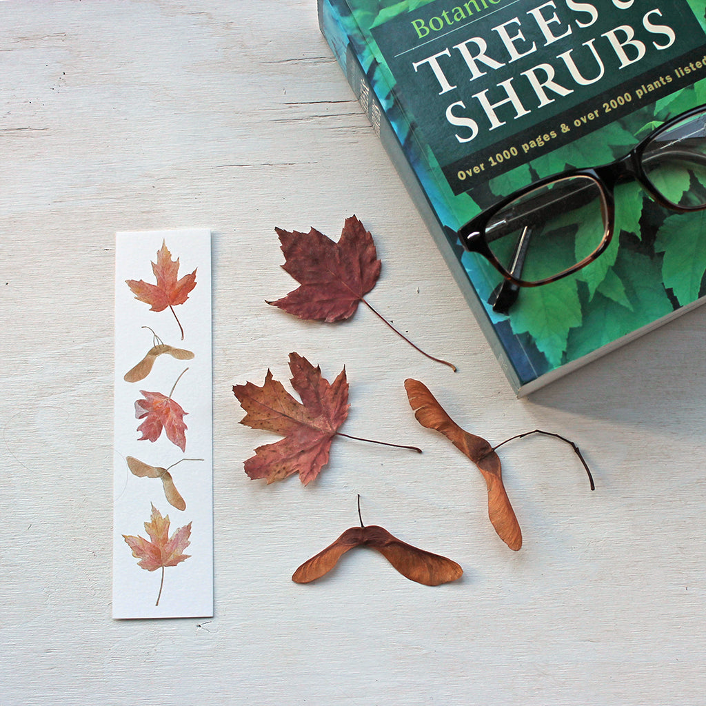 Bookmark featuring a watercolour painting of maples leaves and keys by artist Kathleen Maunder 
