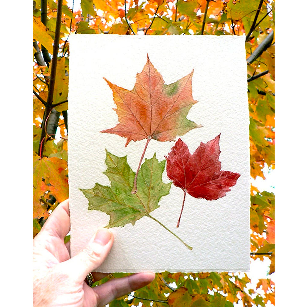 Maple Leaves Original Watercolor Painting