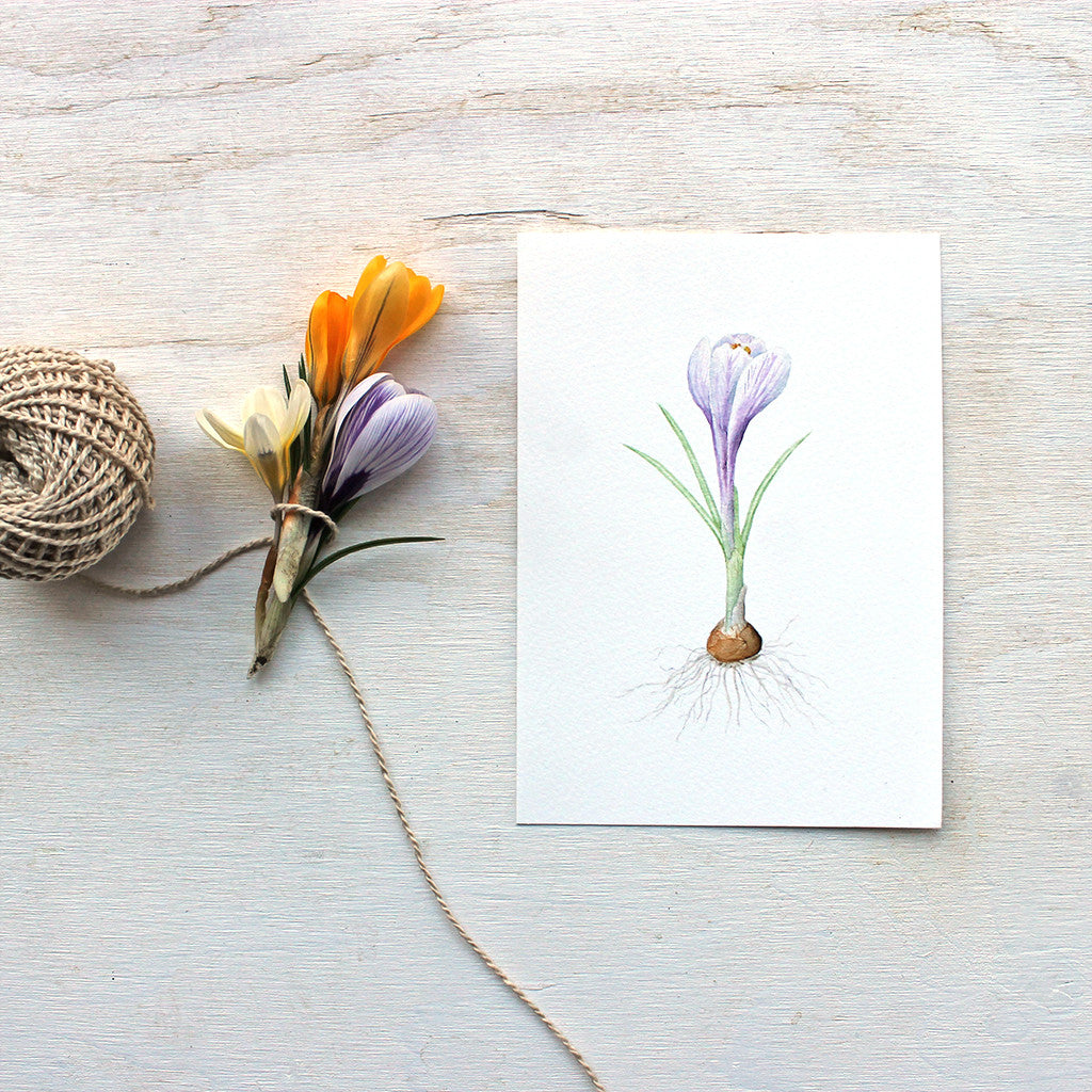 Purple crocus watercolour print by artist Kathleen Maunder, Trowel and Paintbrush