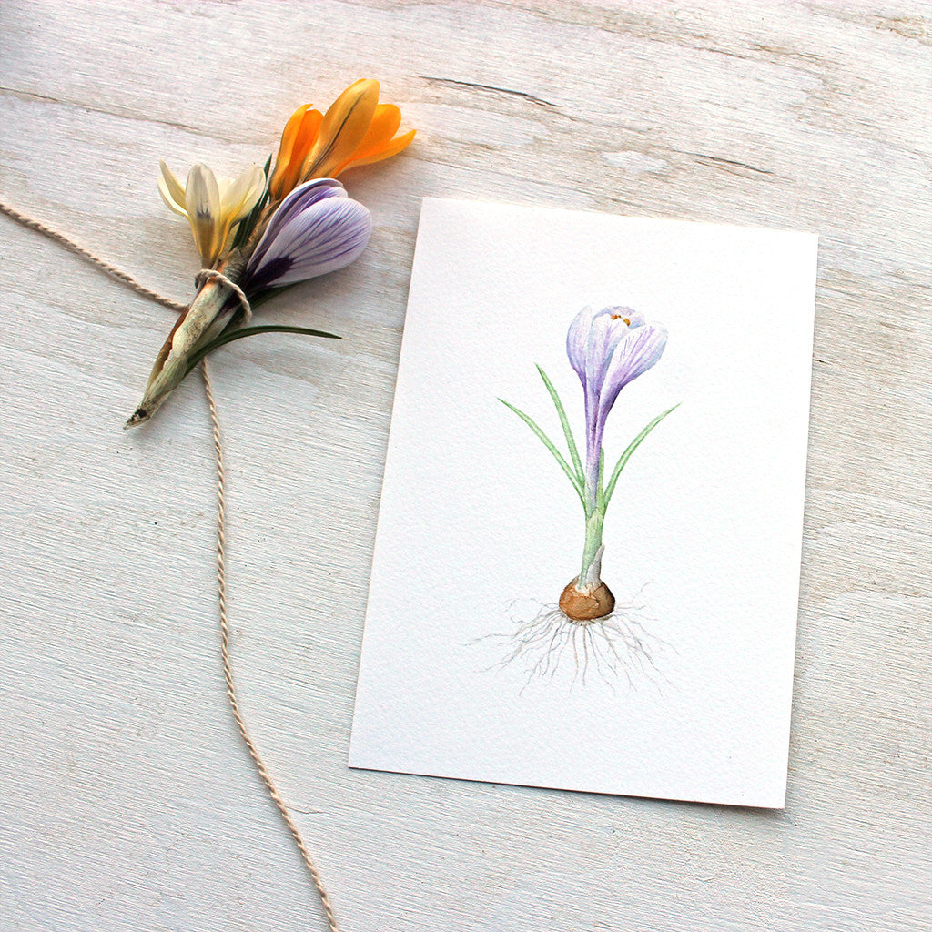 Purple crocus watercolour print by artist Kathleen Maunder, Trowel and Paintbrush