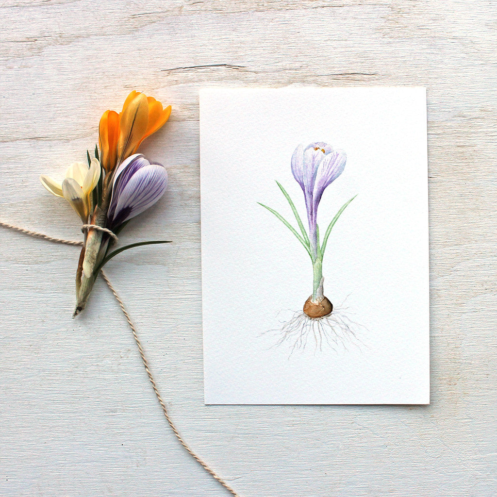 Striped purple crocus print by watercolor artist Kathleen Maunder (trowelandpaintbrush.com)