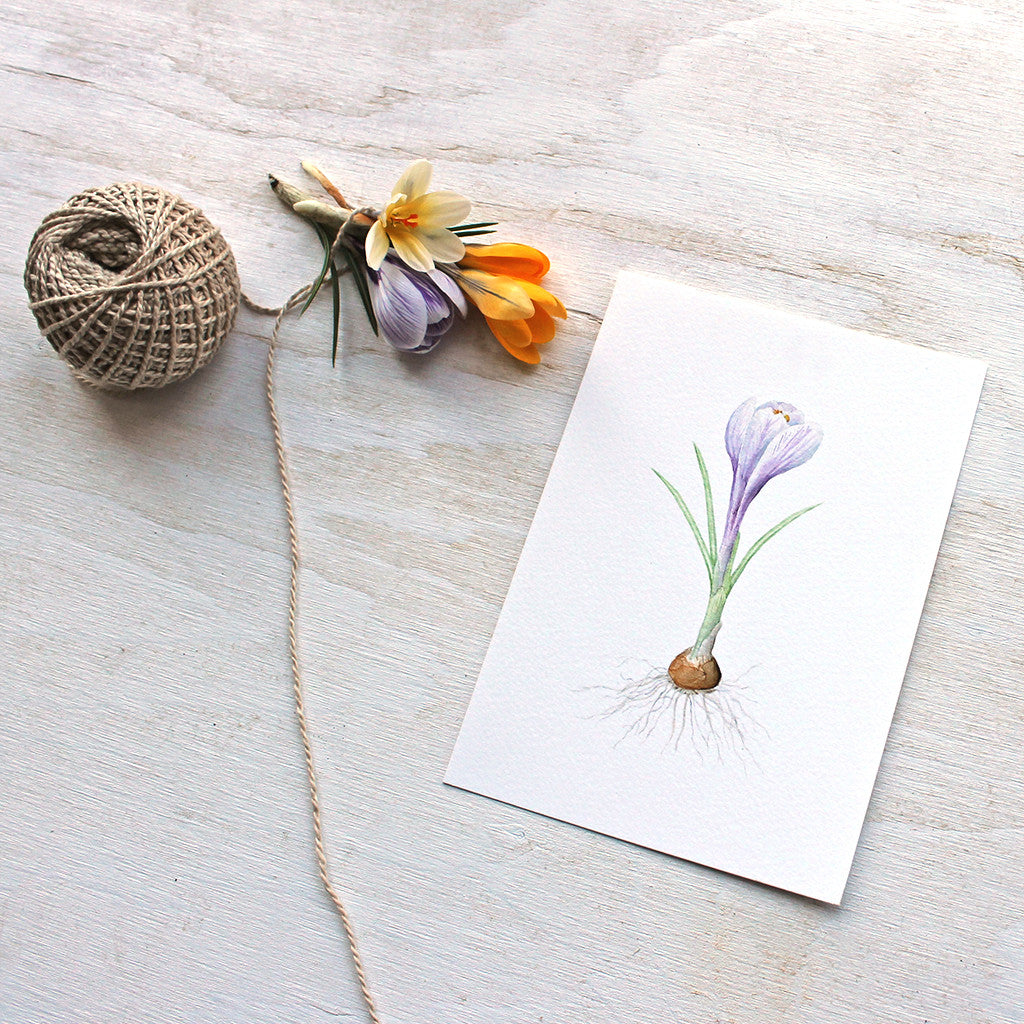 Purple crocus watercolour print by artist Kathleen Maunder, Trowel and Paintbrush