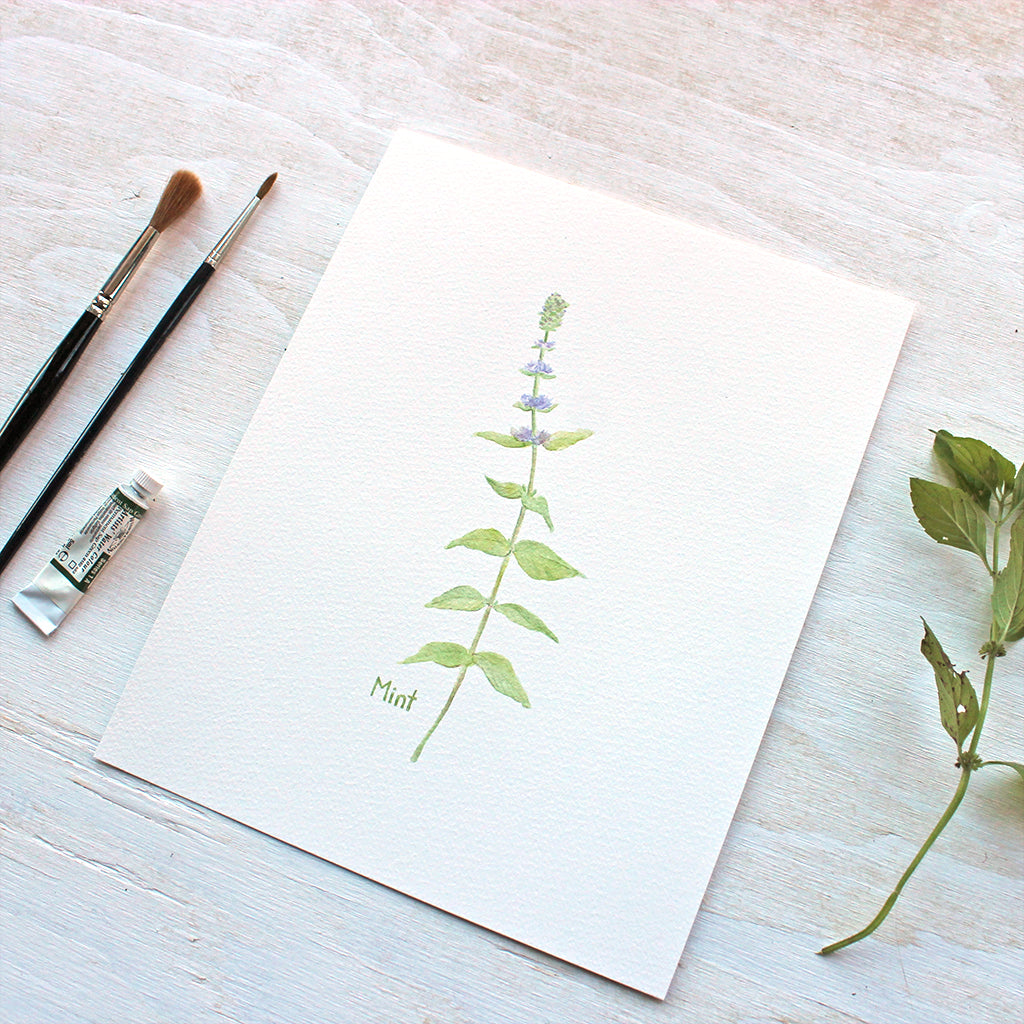 A botanical art print of a delicate watercolor painting of a stem of mint. Artist Kathleen Maunder.