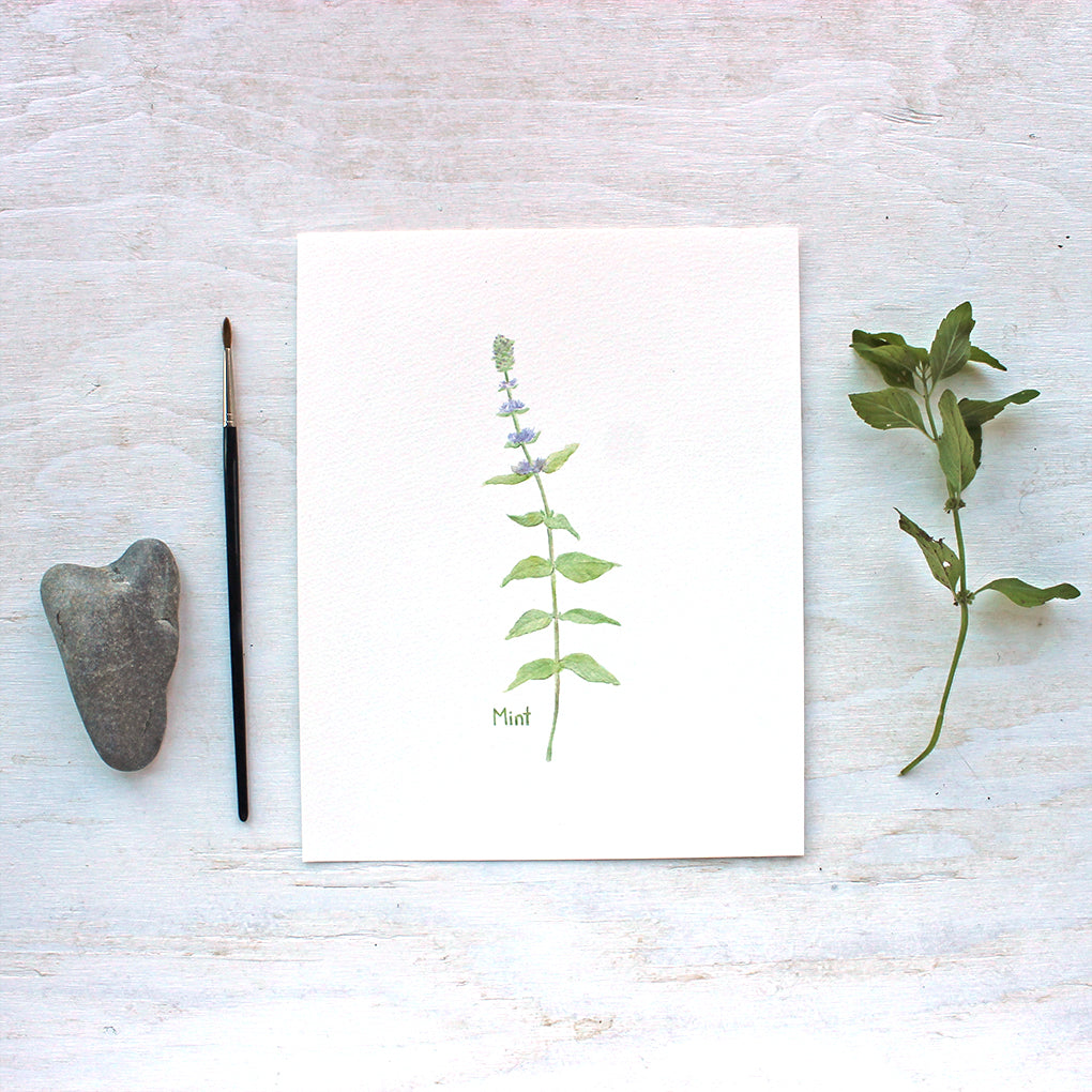An art print featuring a delicate watercolor painting of the herb mint. Artist Kathleen Maunder.