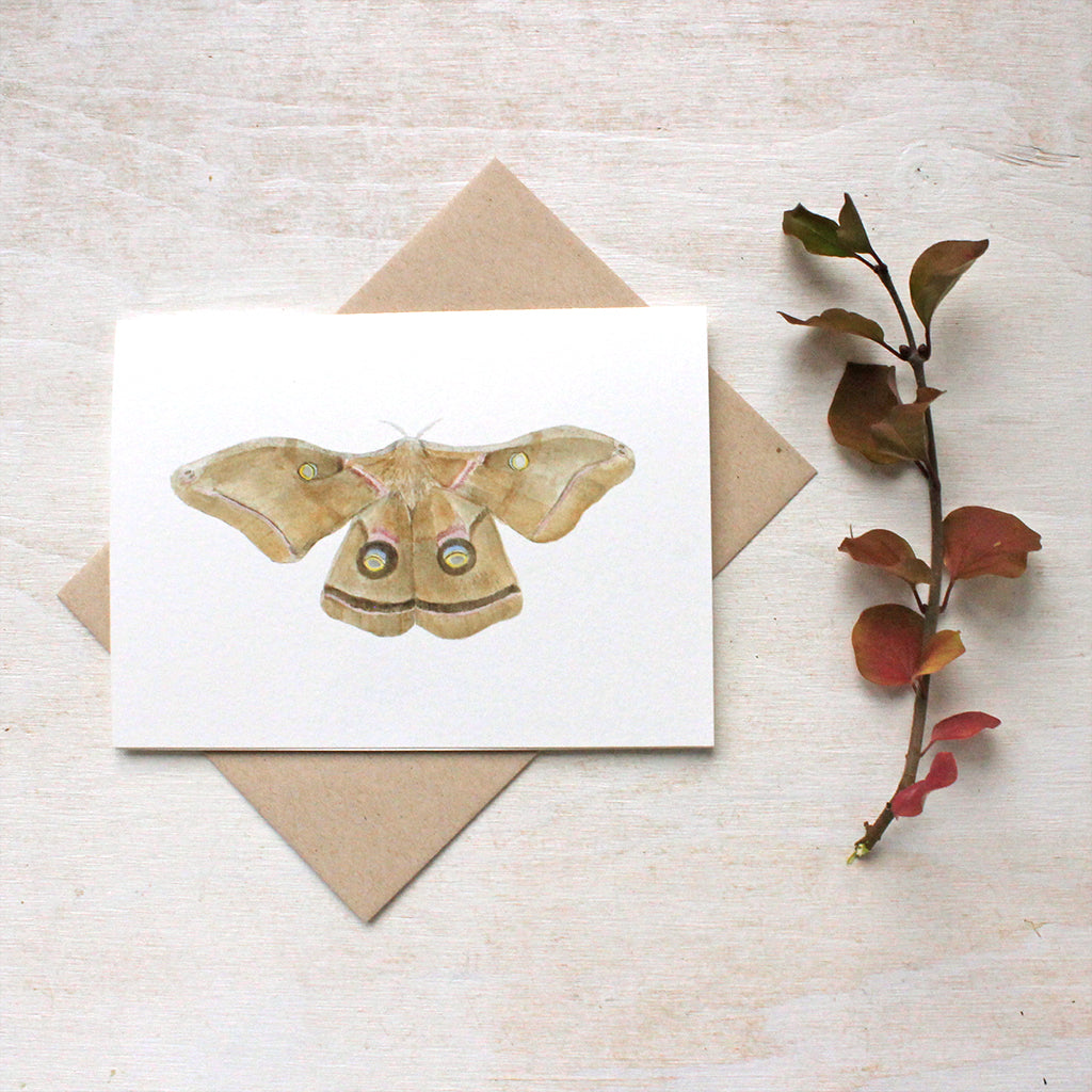 Moth watercolour painting on note cards by artist Kathleen Maunder of Trowel and Paintbrush