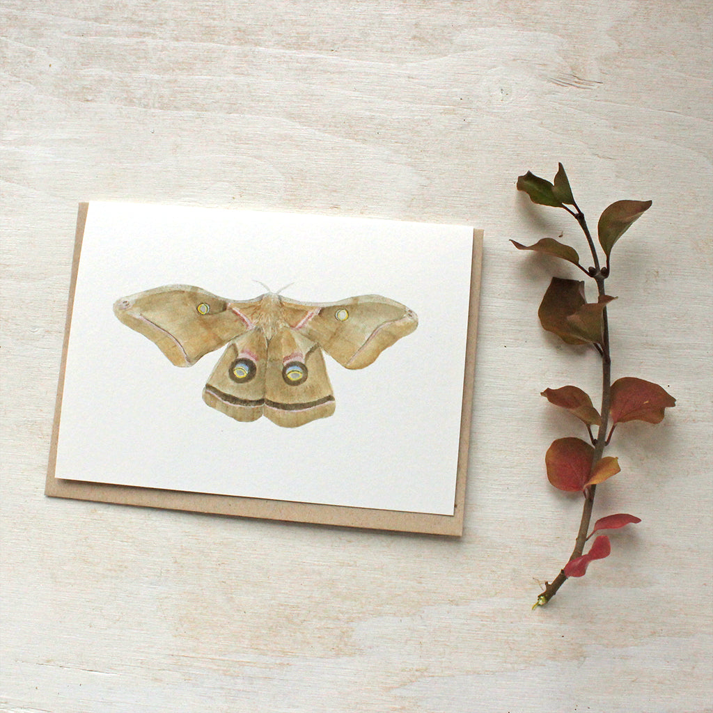 Watercolor note cards featuring a polyphemus moth painting by Kathleen Maunder