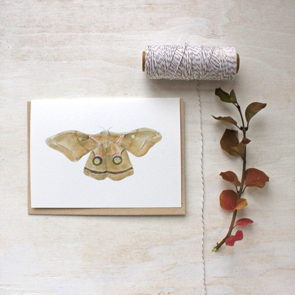 Note card set featuring a polyphemus moth watercolor painting by Kathleen Maunder of Trowel and Paintbrush