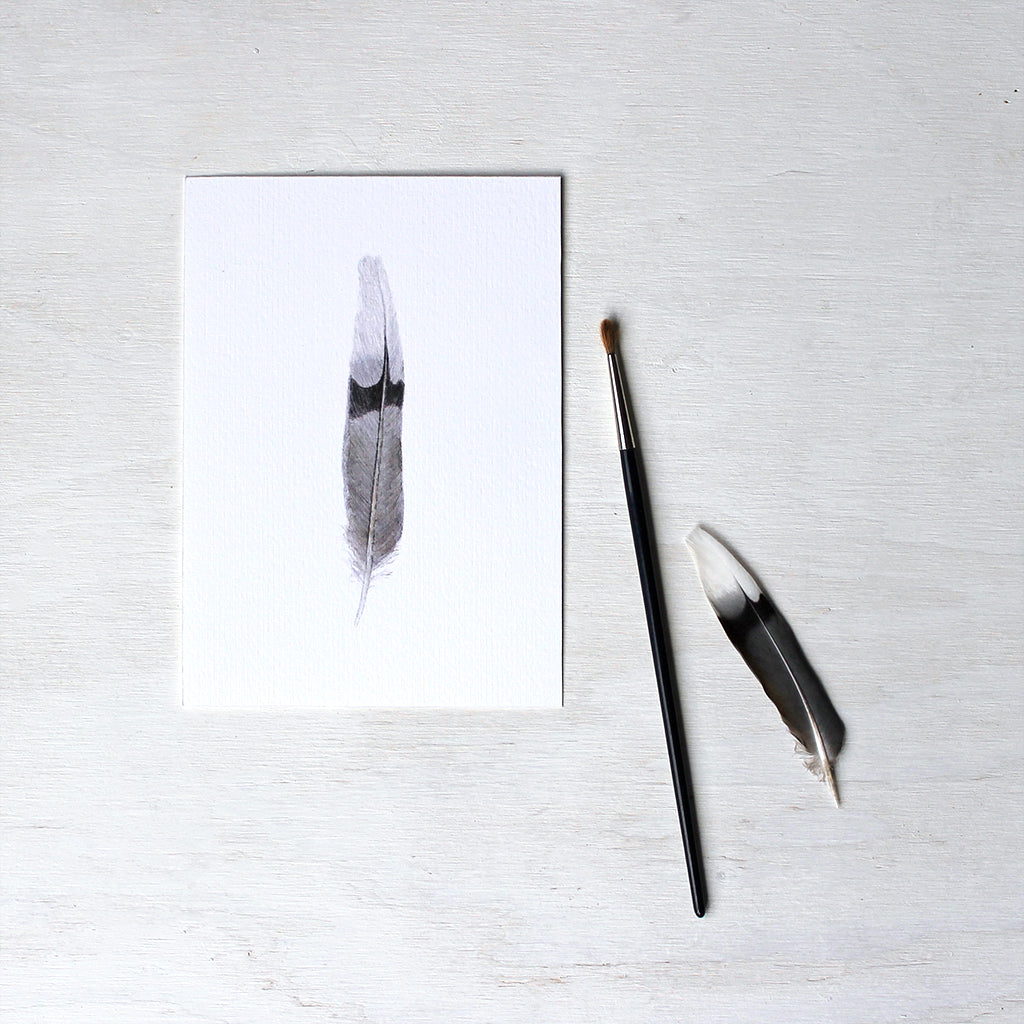 Art print featuring a mourning dove feather painted in watercolour. Artist Kathleen Maunder. 