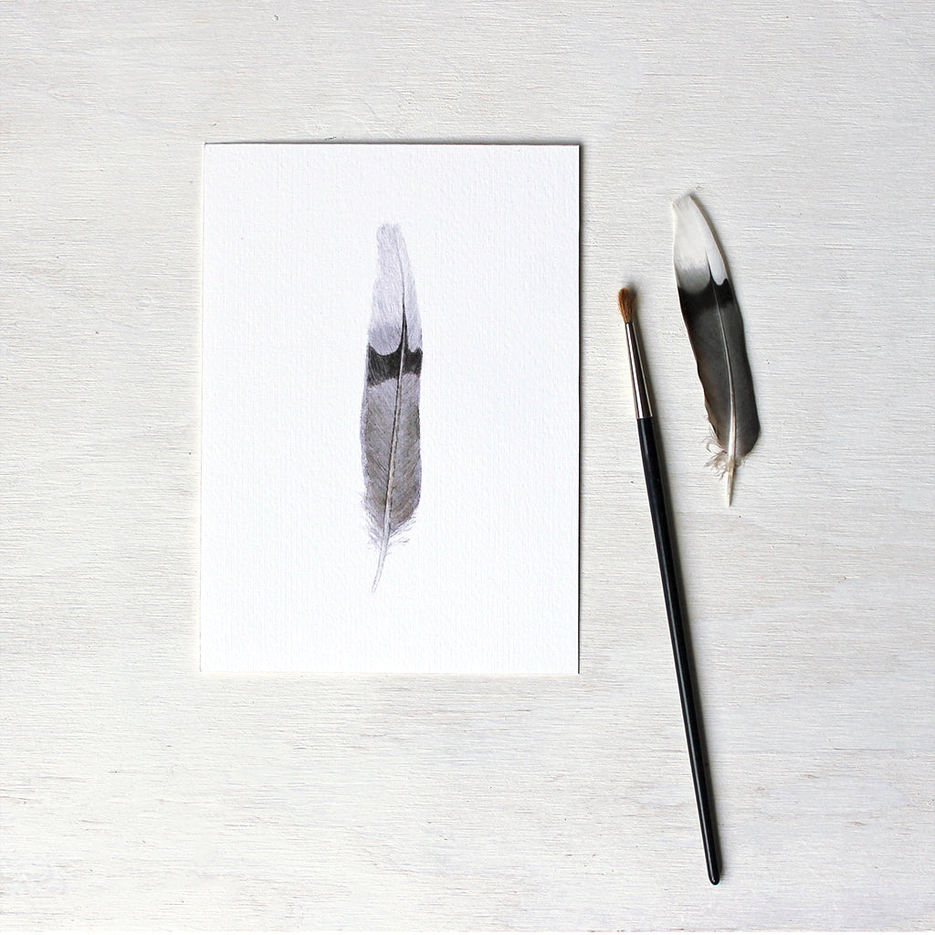 Print depicting an original watercolor painting of a mourning dove feather. Artist Kathleen Maunder.