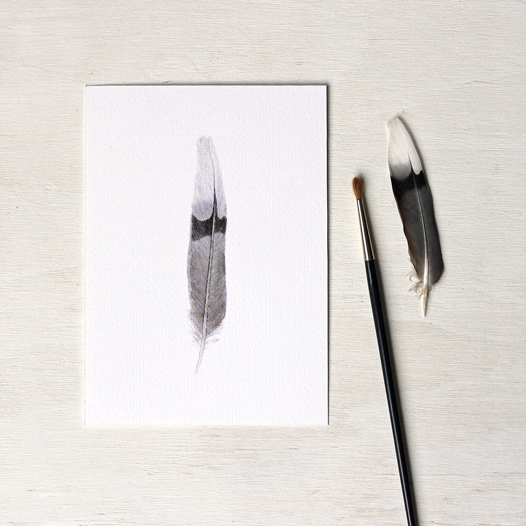Watercolor painting of a mourning dove feather, seen here as a 5 x 7 art print. Artist Kathleen Maunder
