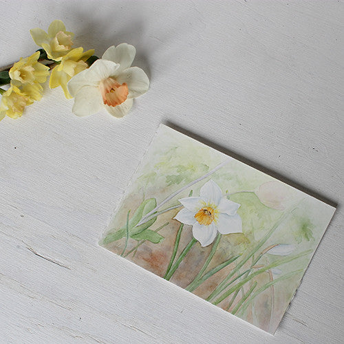 Daffodil Watercolor Painting - Narcissus