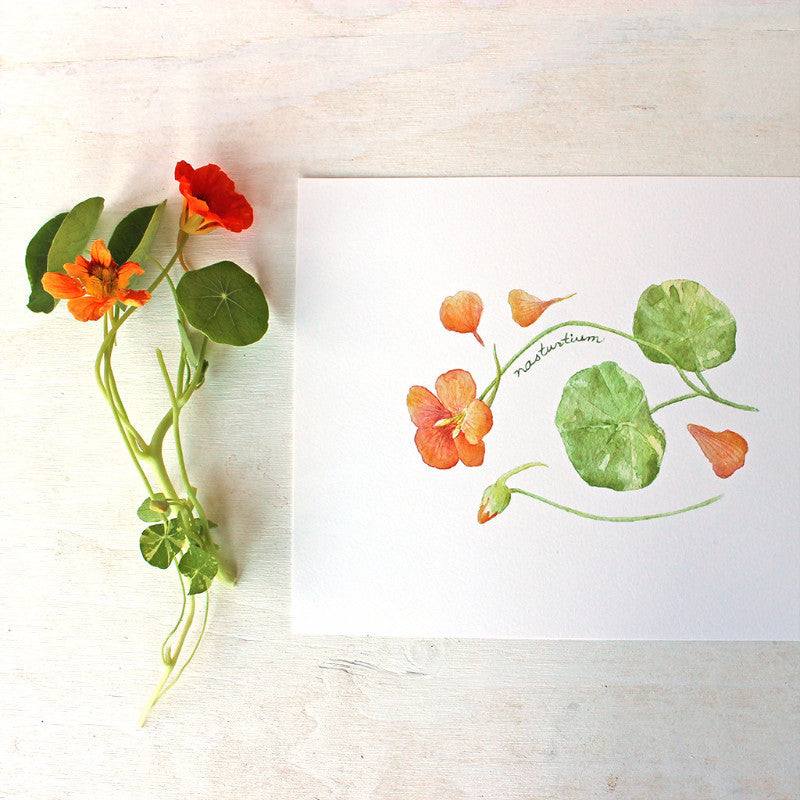 Nasturtiums: watercolour art print by Kathleen Maunder of Trowel and Paintbrush