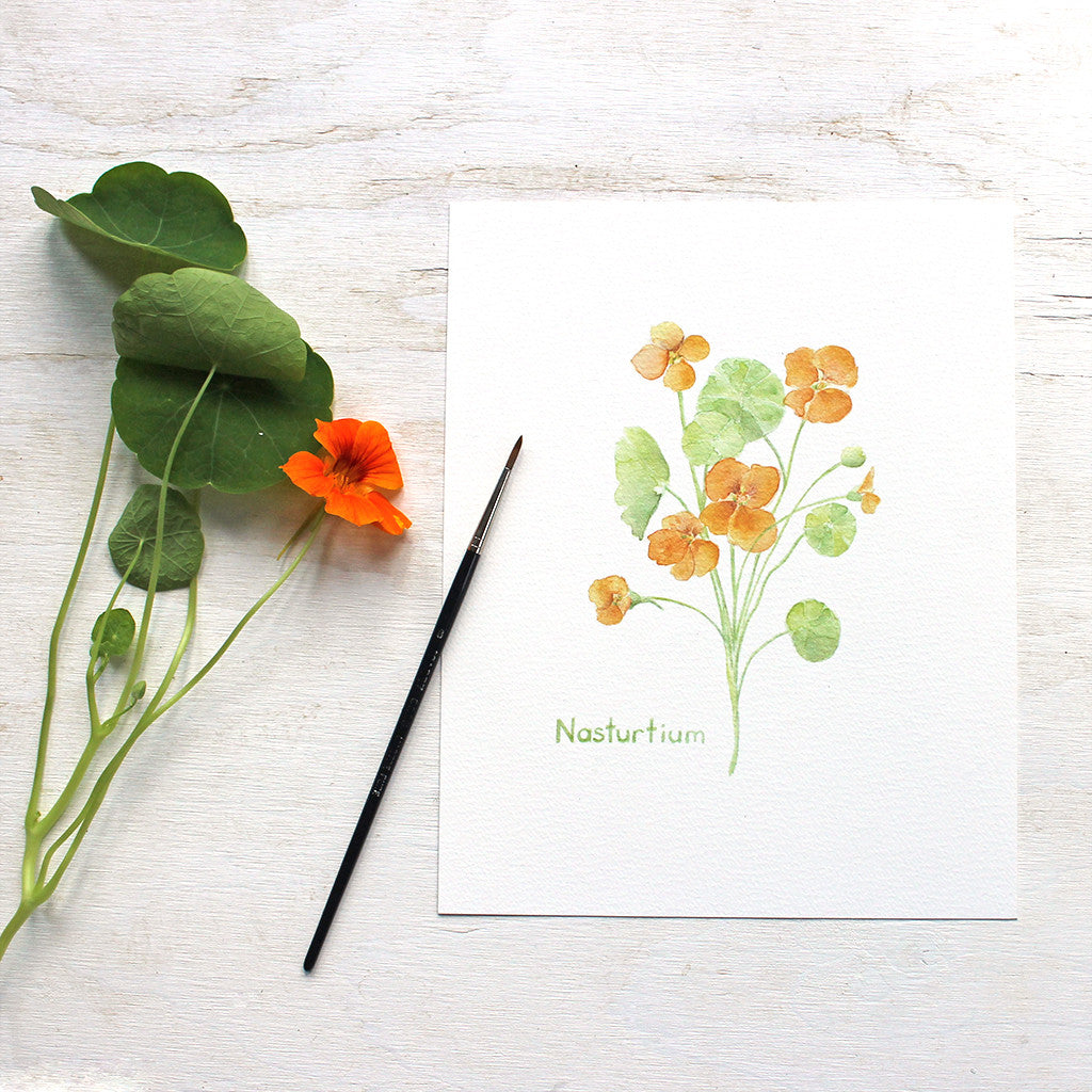 An art print featuring a watercolor painting of a stem of orange nasturtiums by artist Kathleen Maunder of Trowel and Paintbrush