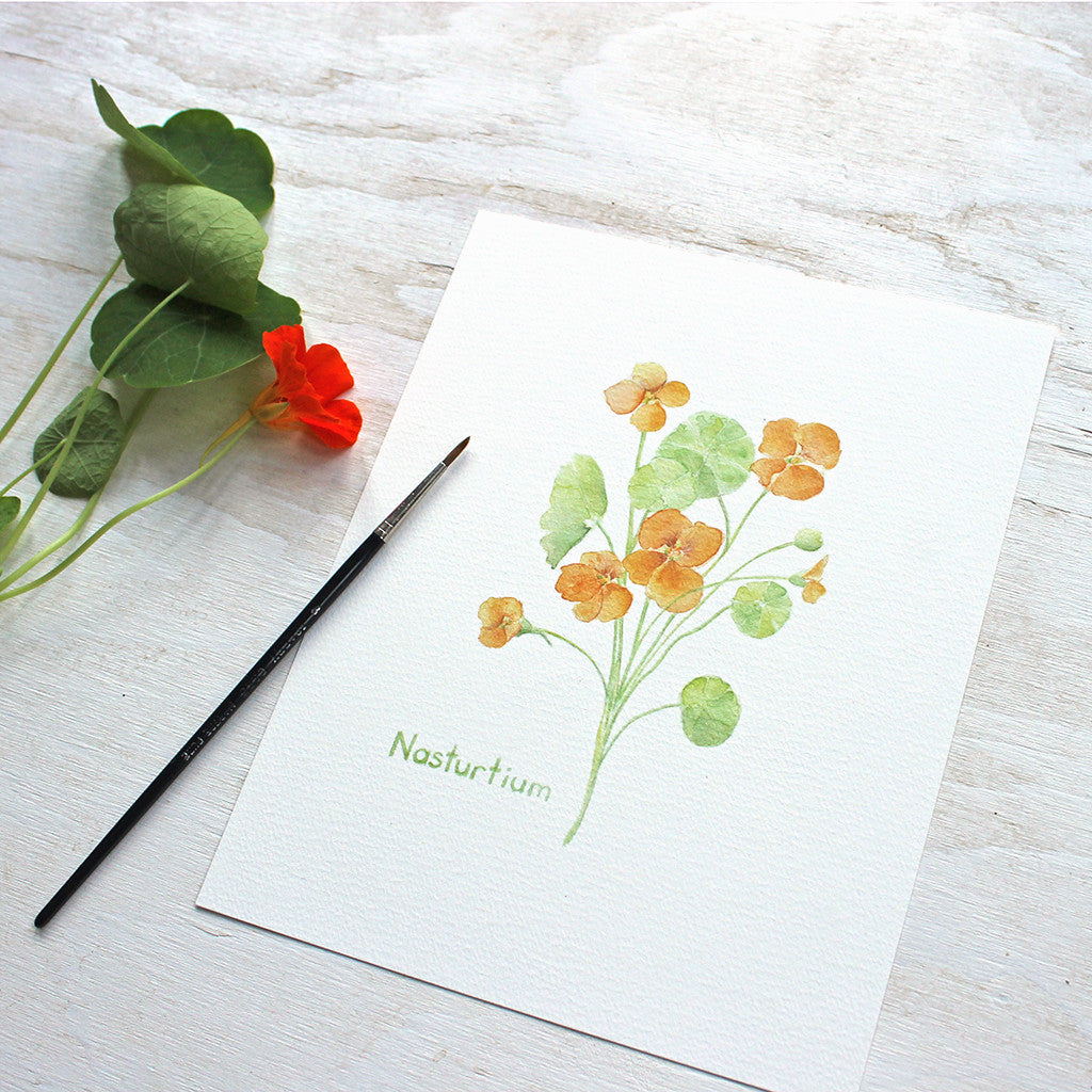 Orange nasturtiums and leaves. An art print based on an original watercolour painting by Kathleen Maunder.