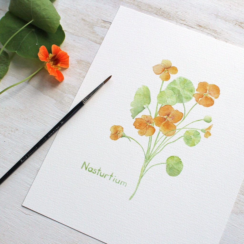 A reproduction of a delicate watercolor painting of a stem of orange nasturtium blossoms and leaves by artist Kathleen Maunder of Trowel and Paintbrush