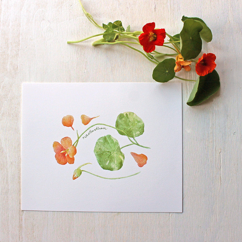Nasturtiums watercolor print by Kathleen Maunder of Trowel and Paintbrush