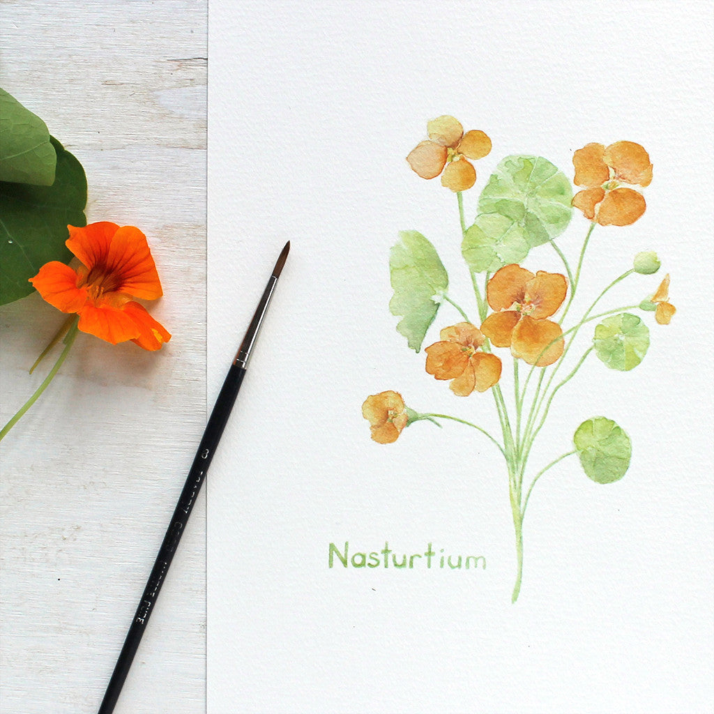 Close up of an art print with a delicate watercolor painting of orange nasturtium blossoms and leaves by artist Kathleen Maunder of Trowel and Paintbrush