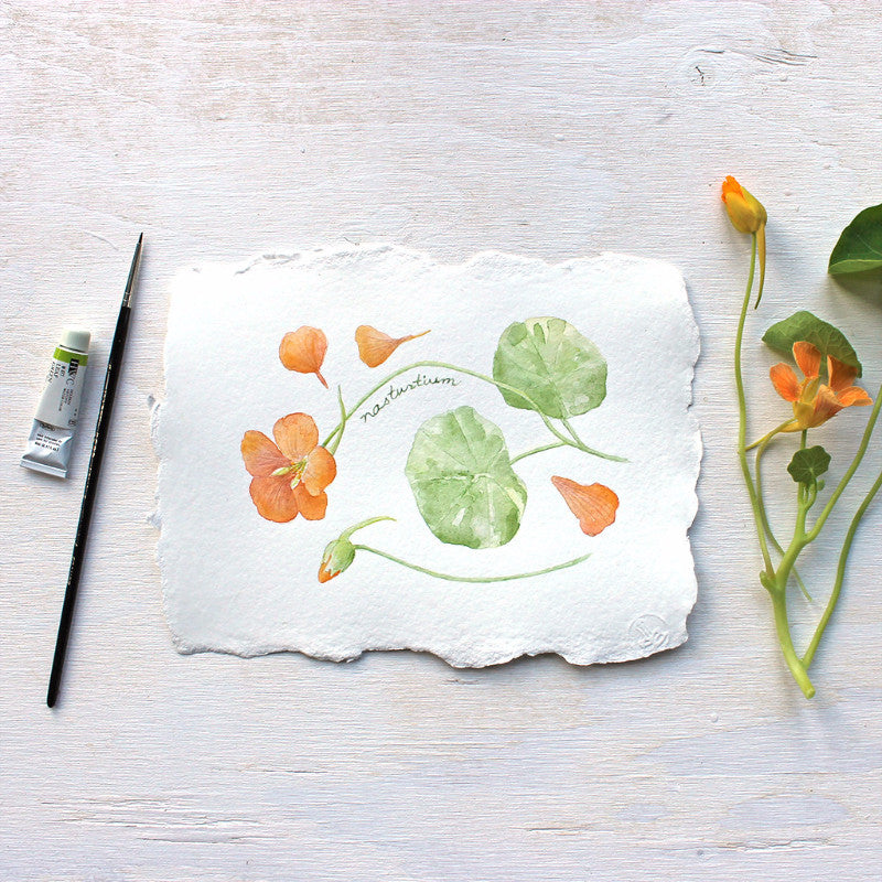 Nasturtiums: original watercolour painting by Kathleen Maunder of Trowel and Paintbrush