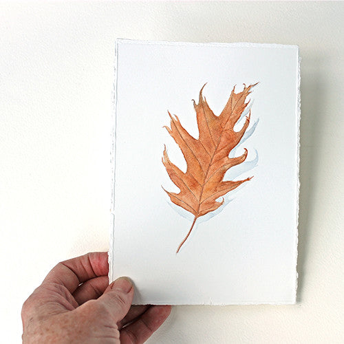 Original watercolor painting of a red orange oak leaf. Artist Kathleen Maunder