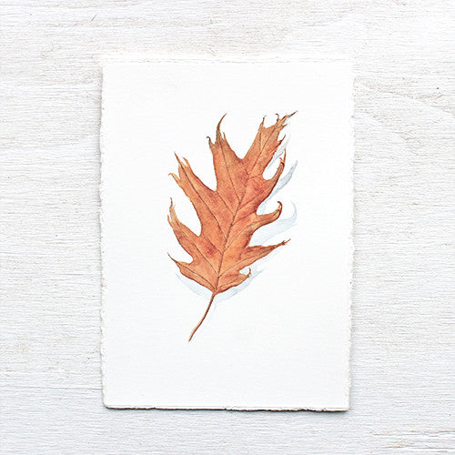 Original watercolor painting of a red orange oak leaf. Artist Kathleen Maunder