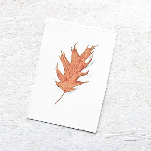 Original watercolor painting of a red orange oak leaf. Artist Kathleen Maunder