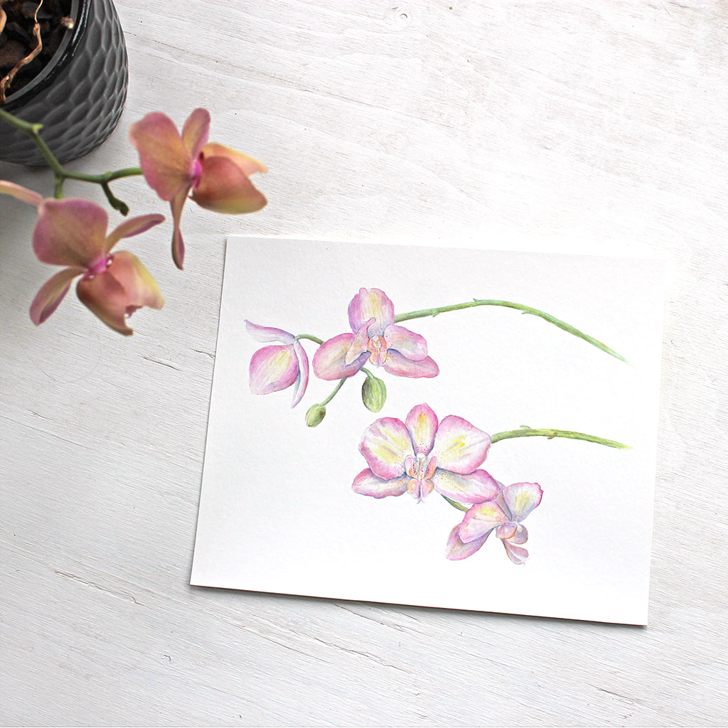 Watercolor of pink and yellow orchids available as 8 x 10 print. Artist - Kathleen Maunder