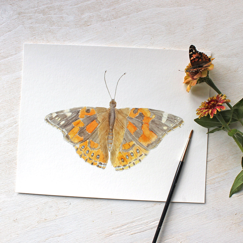 Butterfly watercolor painting by Kathleen Maunder available as print / Painted lady butterfly (vanessa cardui)