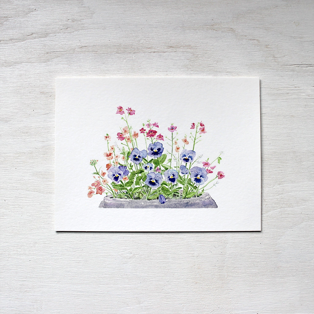 A print of a watercolour painting depicting a flower pot containing blue pansies, pink nemesia, coral diascia and white euphorbia. Artist Kathleen Maunder.