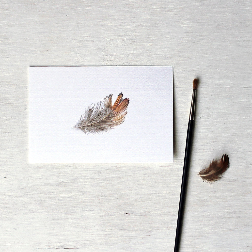 Print of a pheasant feather watercolour painting by Kathleen Maunder.