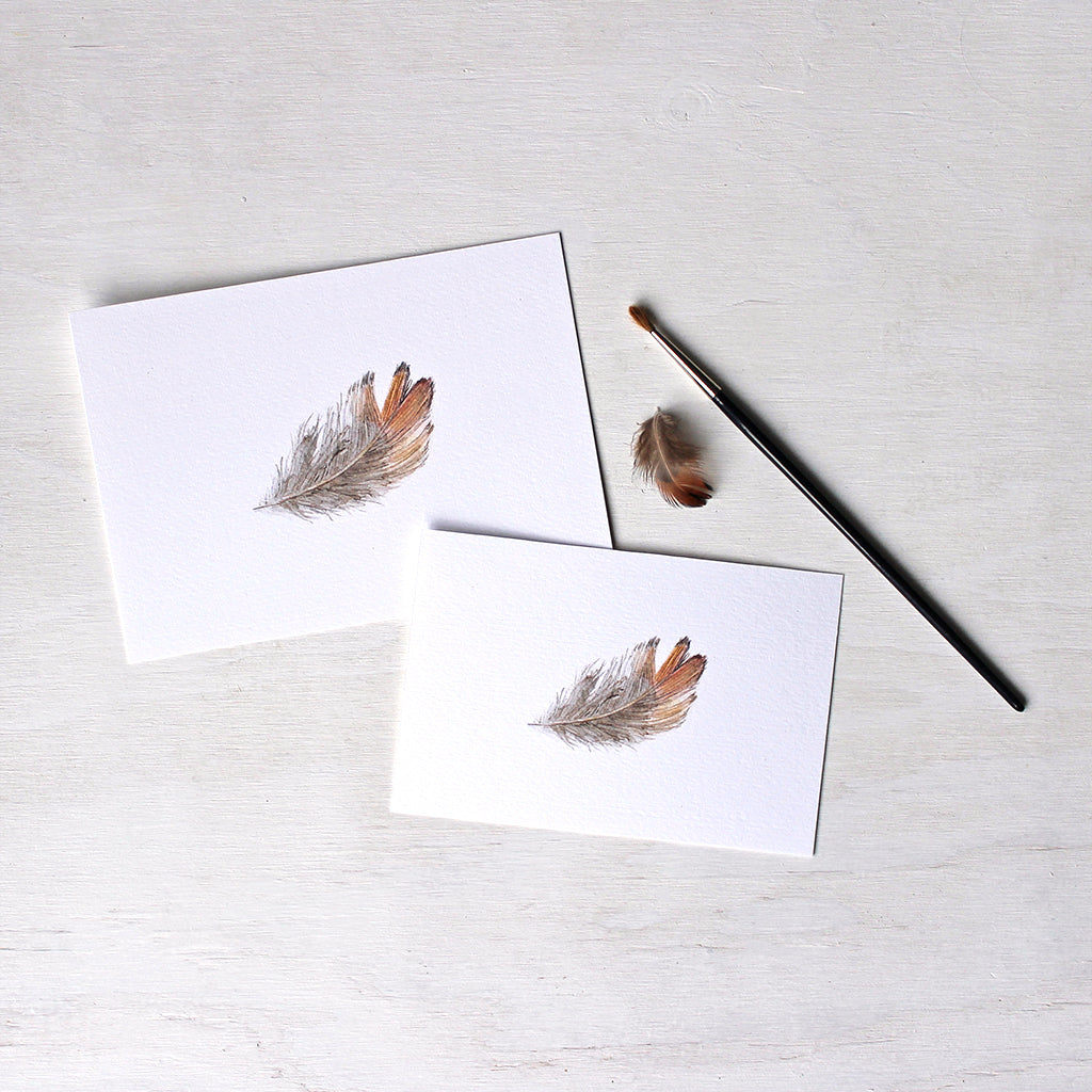 Prints available in two sizes of a pheasant feather watercolor painting by Kathleen Maunder.