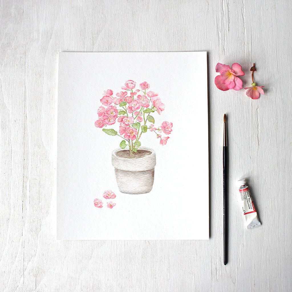 Pink begonia plant in a pot by watercolor artist Kathleen Maunder - Available as a print.