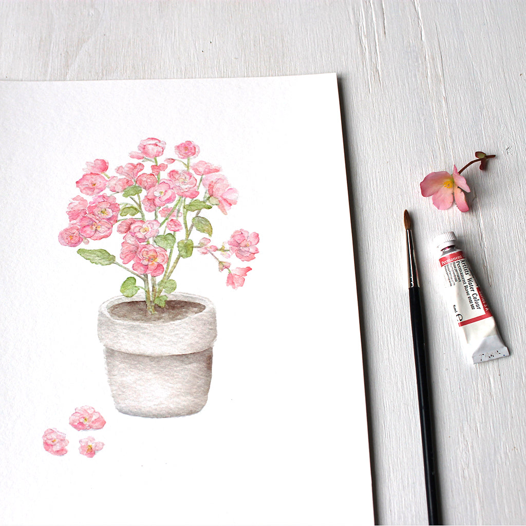 Close up of pink begonia watercolor painting by Kathleen Maunder. Available as print.