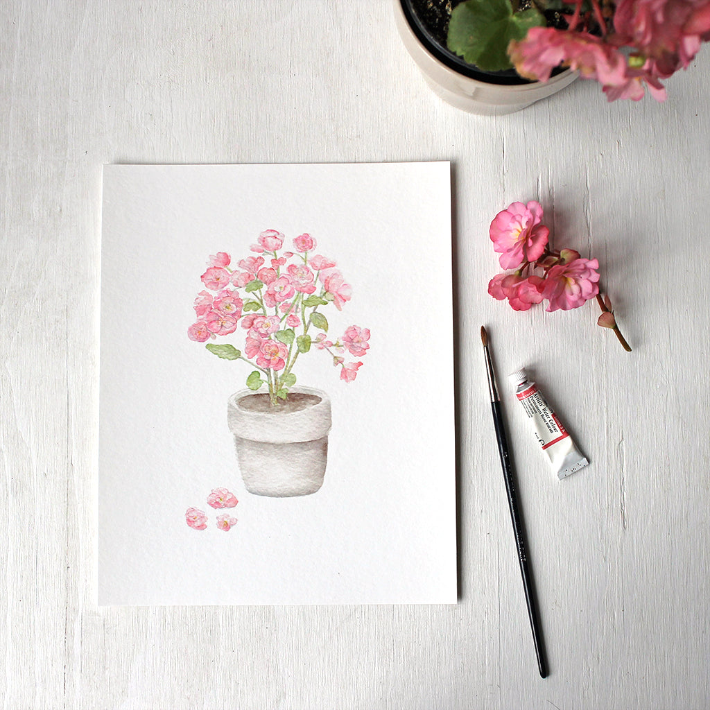Pink begonia plant in a pot - Print based on a watercolor painting by Kathleen Maunder