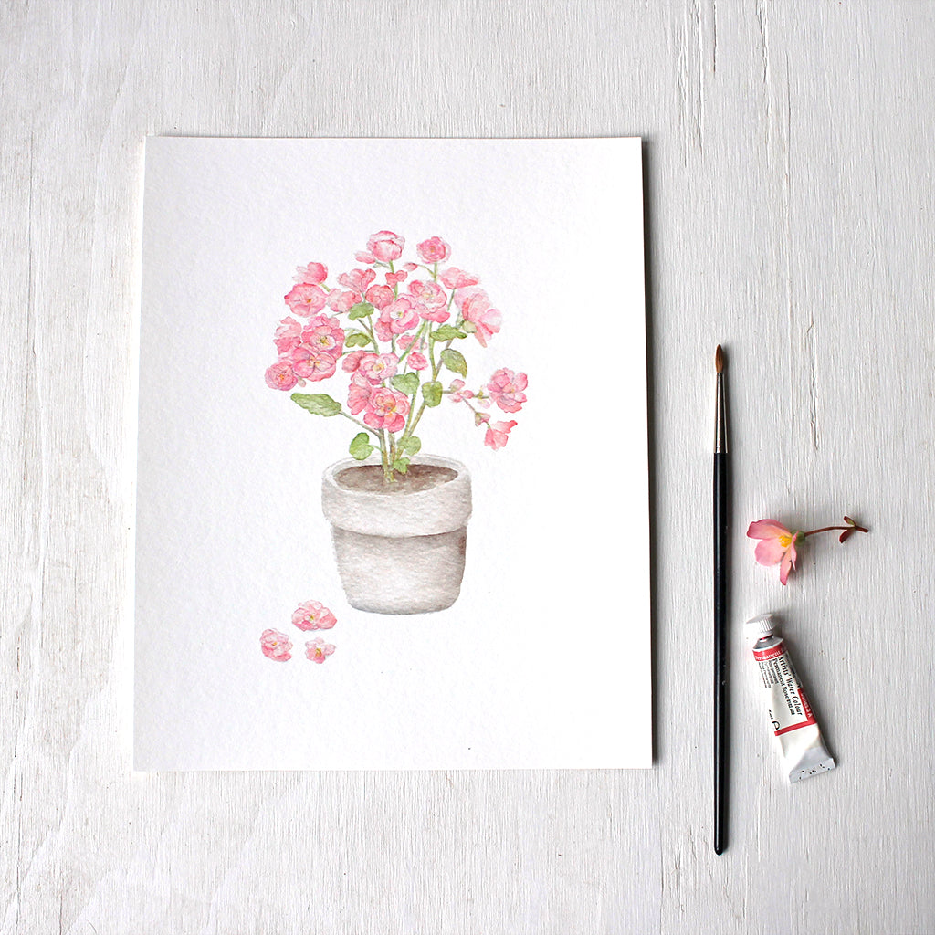 Pink begonia in a pot - Print based on a watercolour painting by Kathleen Maunder