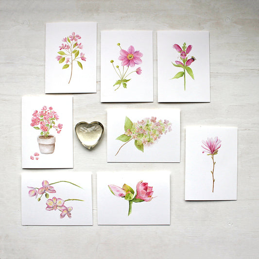 Set of eight note cards featuring pink flowers: star magnolia, amaryllis, crabapple, hydrangea, orchid, Japanese anemone, turtlehead and pink begonia. Painted in watercolor by Kathleen Maunder.