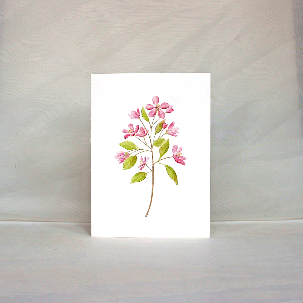 Note card featuring pink crabapple blossoms painted in watercolor. Artist Kathleen Maunder.