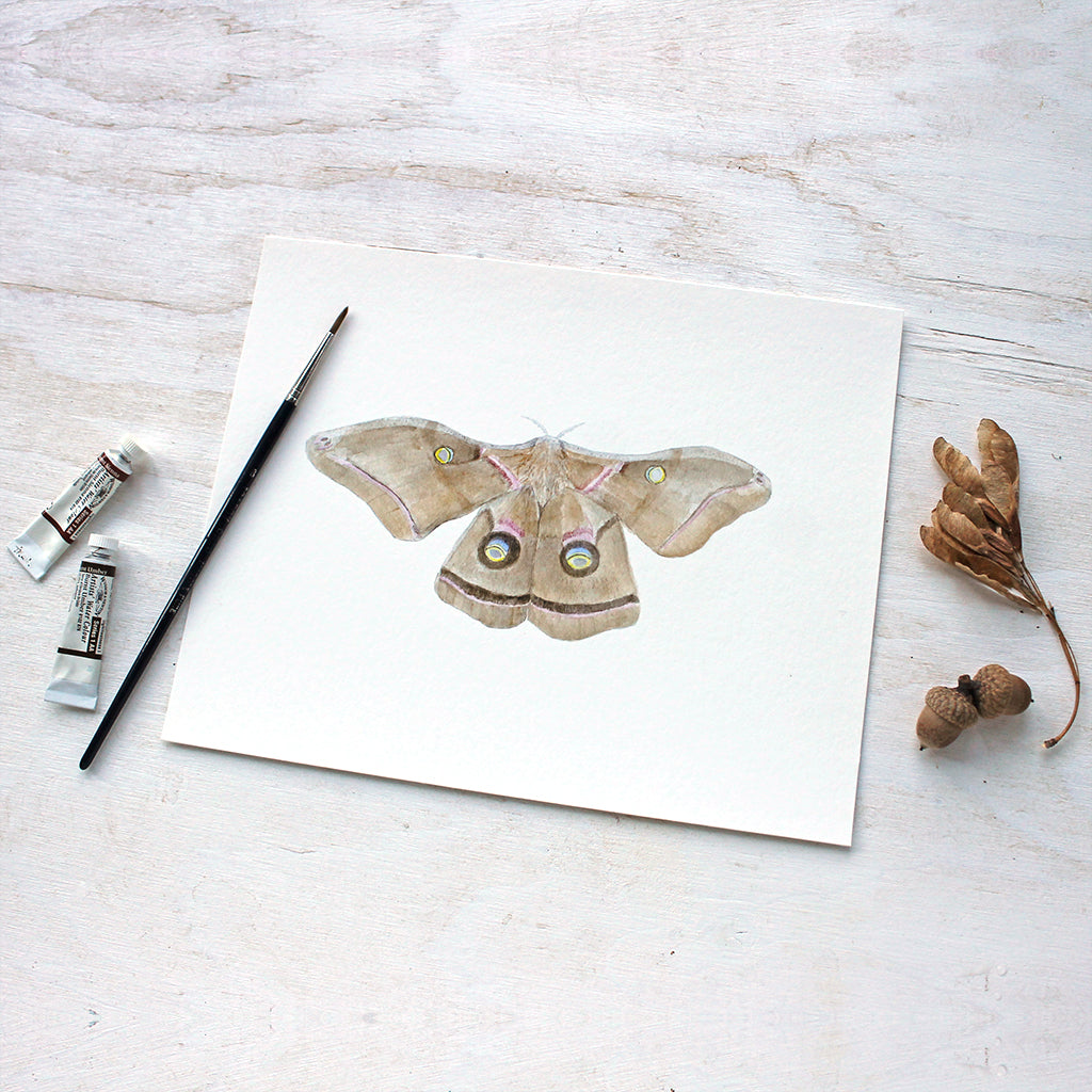 Print of polyphemus moth painting by watercolor artist Kathleen Maunder of Trowel and Paintbrush