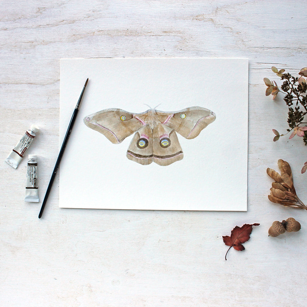 Print of polyphemus moth painting by watercolor artist Kathleen Maunder of Trowel and Paintbrush