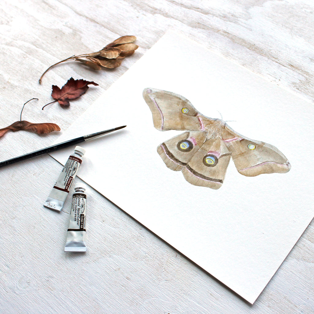 Print of polyphemus moth painting by watercolor artist Kathleen Maunder of Trowel and Paintbrush