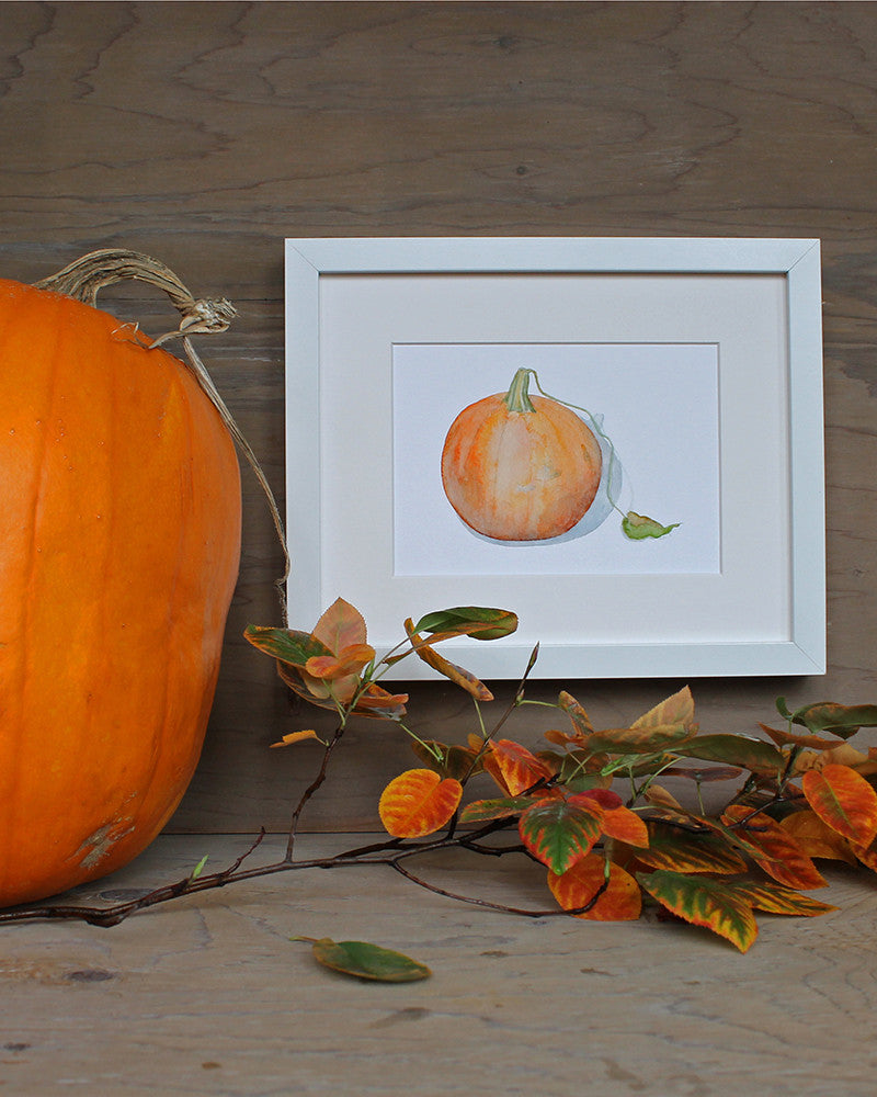 Pumpkin watercolor art print by Kathleen Maunder of Trowel and Paintbrush