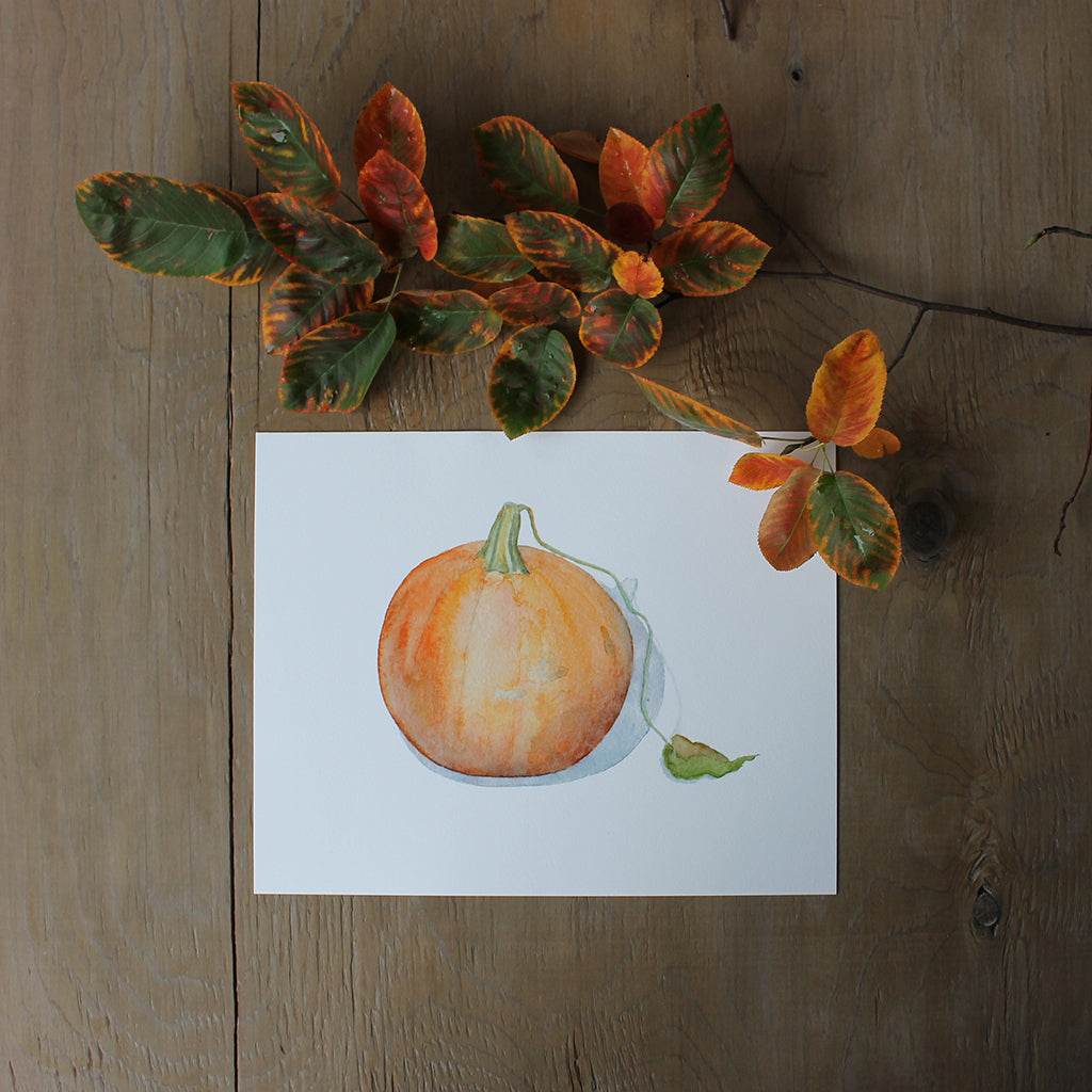 Art print of a watercolor painting of an orange pumpkin with leaf. Artist Kathleen Maunder.